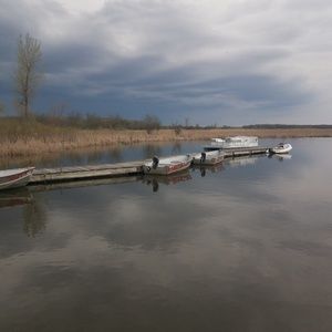 Meet your Posher, Anushka